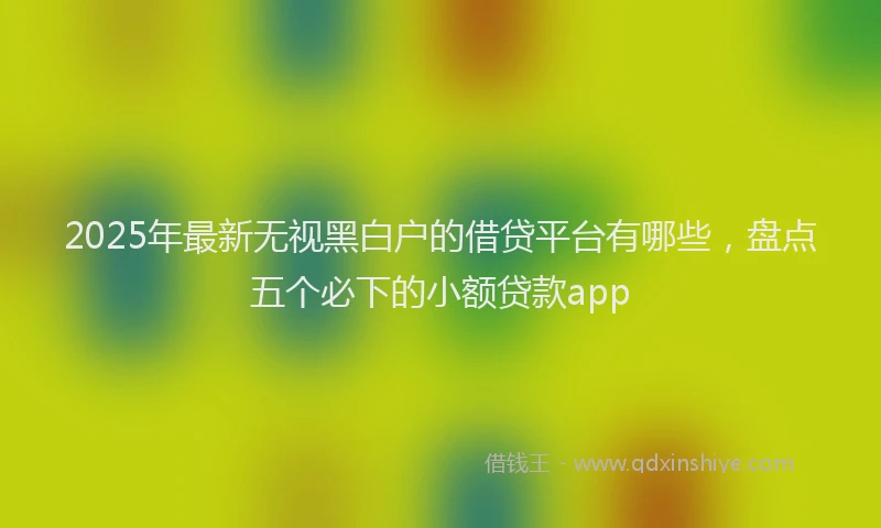 2025年最新无视黑白户的借贷平台有哪些，盘点五个必下的小额贷款app