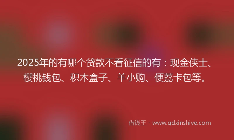 2025年的有哪个贷款不看征信的有：现金侠士、樱桃钱包、积木盒子、羊小购、便荔卡包等。
