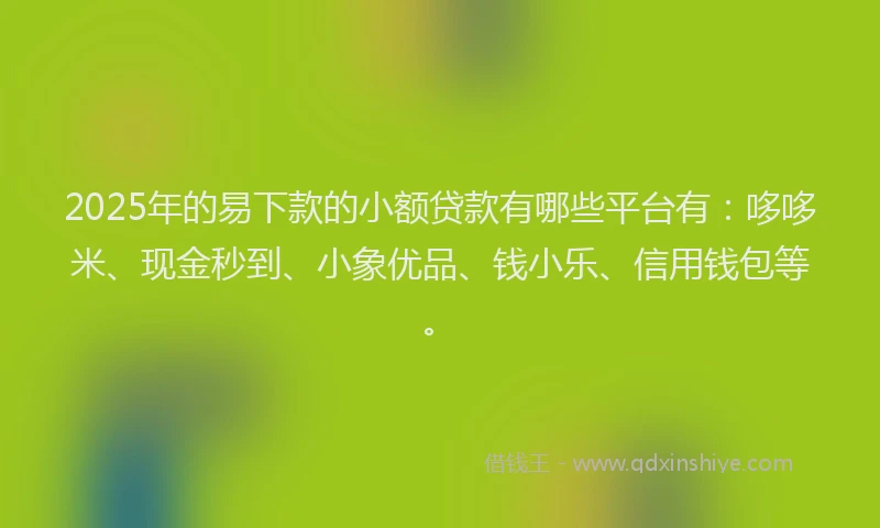2025年的易下款的小额贷款有哪些平台有：哆哆米、现金秒到、小象优品、钱小乐、信用钱包等。