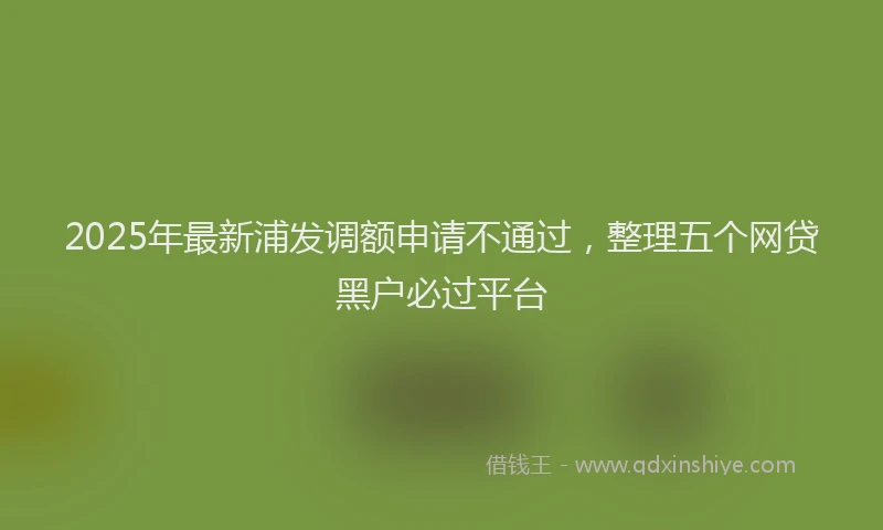 2025年最新浦发调额申请不通过，整理五个网贷黑户必过平台