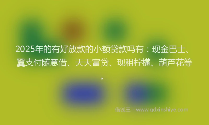 2025年的有好放款的小额贷款吗有：现金巴士、翼支付随意借、天天富贷、现租柠檬、葫芦花等。