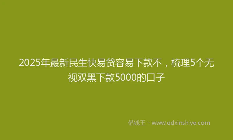 2025年最新民生快易贷容易下款不，梳理5个无视双黑下款5000的口子