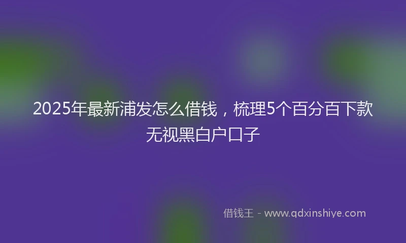 2025年最新浦发怎么借钱，梳理5个百分百下款无视黑白户口子