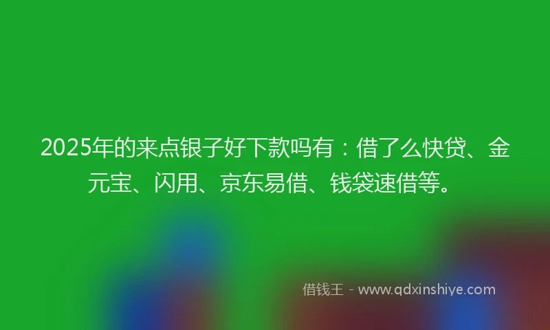 2025年的来点银子好下款吗有：借了么快贷、金元宝、闪用、京东易借、钱袋速借等。