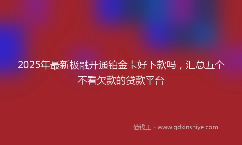 2025年最新极融开通铂金卡好下款吗，汇总五个不看欠款的贷款平台