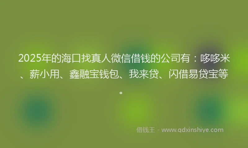 2025年的海口找真人微信借钱的公司有：哆哆米、薪小用、鑫融宝钱包、我来贷、闪借易贷宝等。