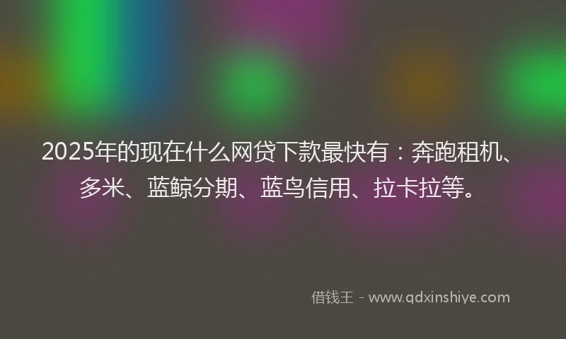 2025年的现在什么网贷下款最快有：奔跑租机、多米、蓝鲸分期、蓝鸟信用、拉卡拉等。