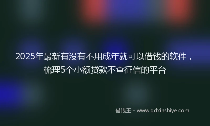 2025年最新有没有不用成年就可以借钱的软件，梳理5个小额贷款不查征信的平台