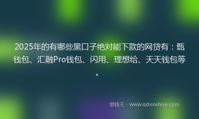 2025年的有哪些黑口子绝对能下款的网贷有：甄钱包、汇融Pro钱包、闪用、理想给、天天钱包等。