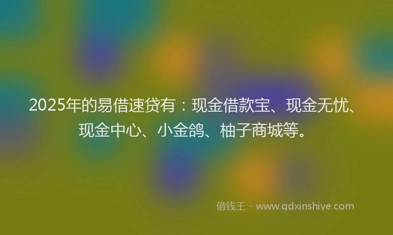 2025年的易借速贷有：现金借款宝、现金无忧、现金中心、小金鸽、柚子商城等。