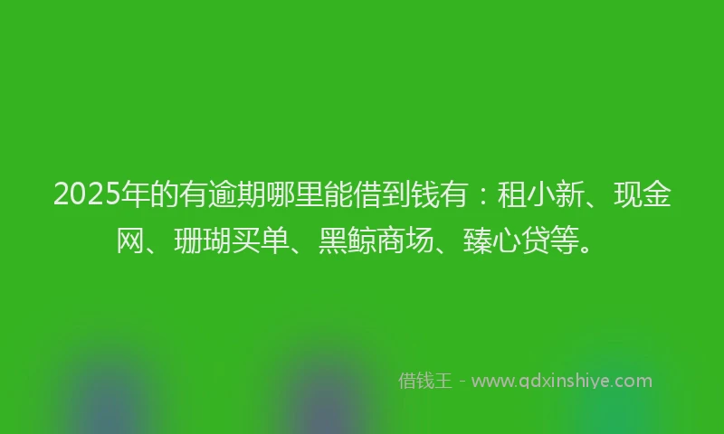 2025年的有逾期哪里能借到钱有：租小新、现金网、珊瑚买单、黑鲸商场、臻心贷等。