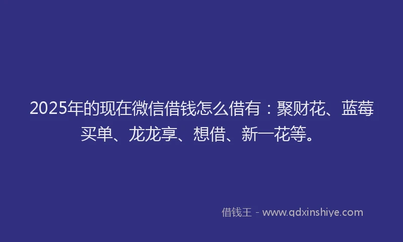 2025年的现在微信借钱怎么借有：聚财花、蓝莓买单、龙龙享、想借、新一花等。