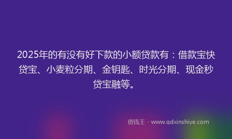 2025年的有没有好下款的小额贷款有：借款宝快贷宝、小麦粒分期、金钥匙、时光分期、现金秒贷宝融等。