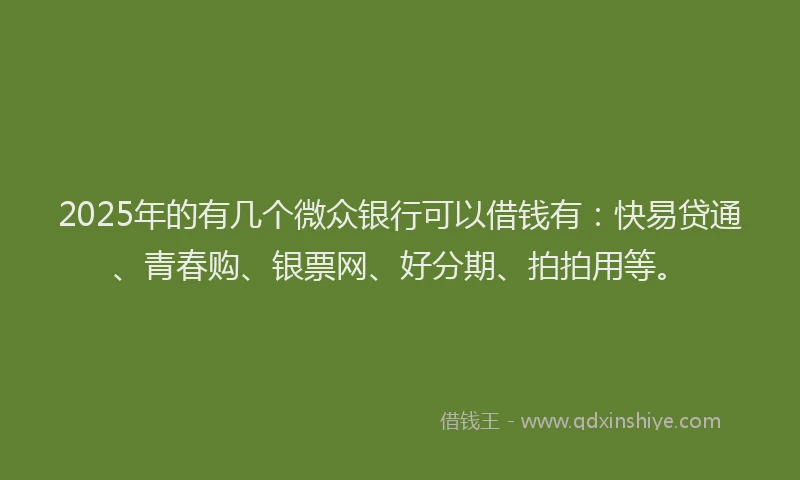 2025年的有几个微众银行可以借钱有：快易贷通、青春购、银票网、好分期、拍拍用等。