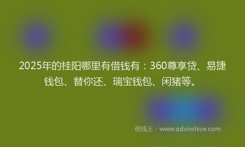 2025年的桂阳哪里有借钱有：360尊享贷、易捷钱包、替你还、瑞宝钱包、闲猪等。