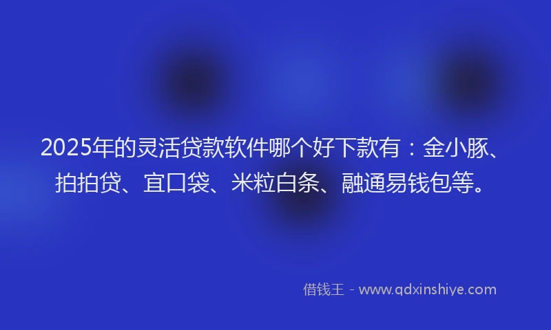 2025年的灵活贷款软件哪个好下款有：金小豚、拍拍贷、宜口袋、米粒白条、融通易钱包等。