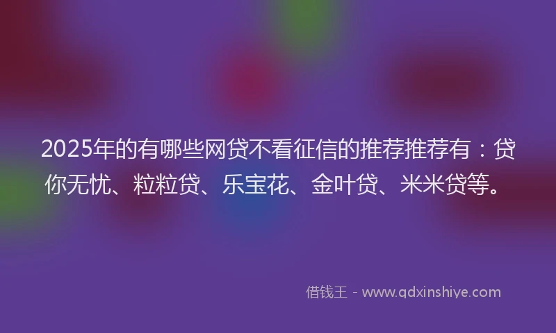 2025年的有哪些网贷不看征信的推荐推荐有：贷你无忧、粒粒贷、乐宝花、金叶贷、米米贷等。