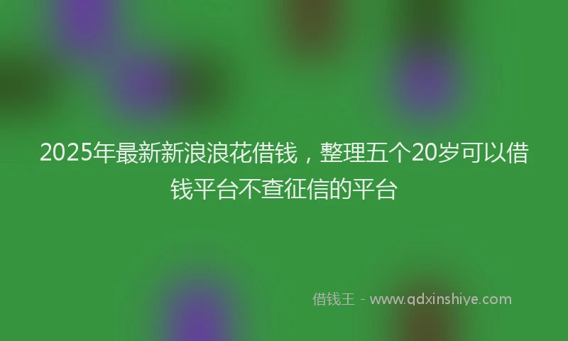 2025年最新新浪浪花借钱，整理五个20岁可以借钱平台不查征信的平台