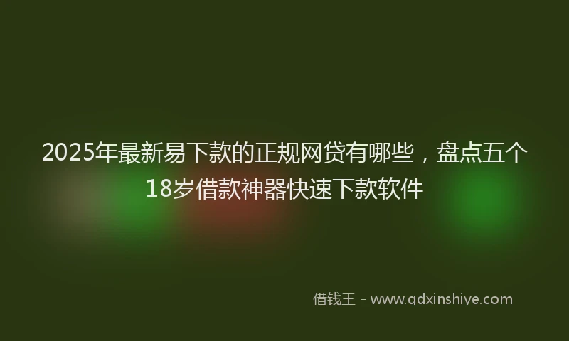 2025年最新易下款的正规网贷有哪些，盘点五个18岁借款神器快速下款软件
