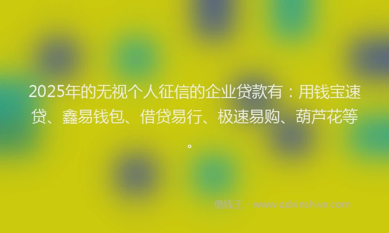 2025年的无视个人征信的企业贷款有：用钱宝速贷、鑫易钱包、借贷易行、极速易购、葫芦花等。
