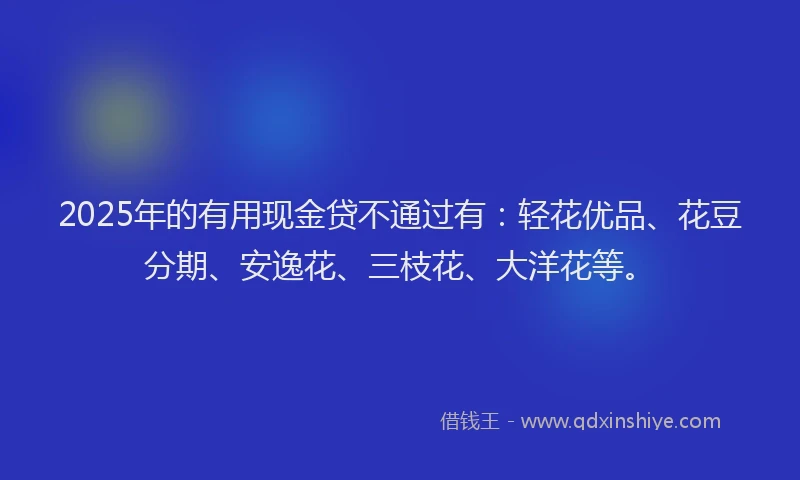 2025年的有用现金贷不通过有：轻花优品、花豆分期、安逸花、三枝花、大洋花等。