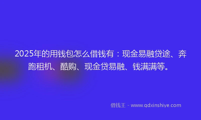 2025年的用钱包怎么借钱有：现金易融贷途、奔跑租机、酷购、现金贷易融、钱满满等。