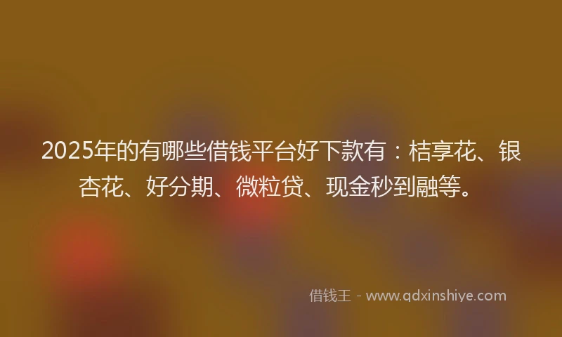 2025年的有哪些借钱平台好下款有：桔享花、银杏花、好分期、微粒贷、现金秒到融等。