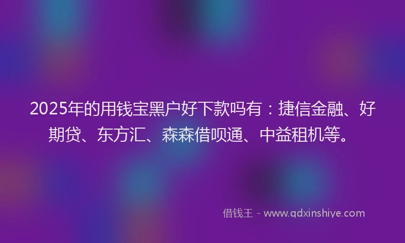 2025年的用钱宝黑户好下款吗有：捷信金融、好期贷、东方汇、森森借呗通、中益租机等。