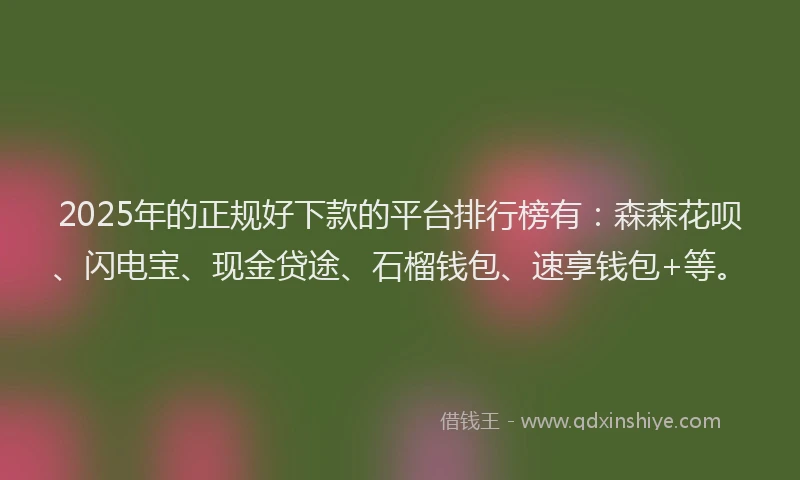 2025年的正规好下款的平台排行榜有：森森花呗、闪电宝、现金贷途、石榴钱包、速享钱包+等。