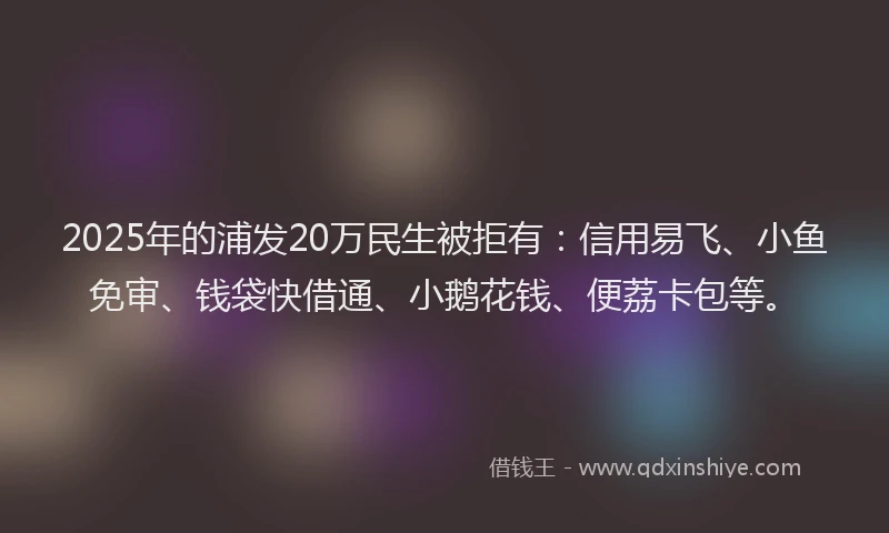 2025年的浦发20万民生被拒有：信用易飞、小鱼免审、钱袋快借通、小鹅花钱、便荔卡包等。