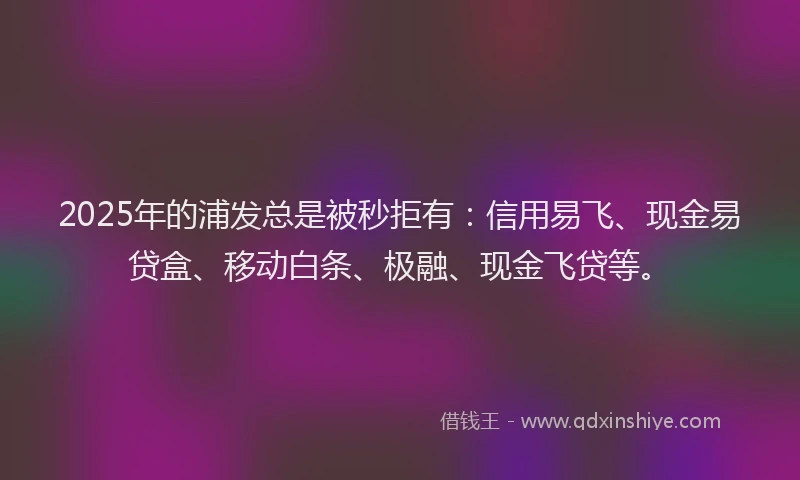 2025年的浦发总是被秒拒有：信用易飞、现金易贷盒、移动白条、极融、现金飞贷等。