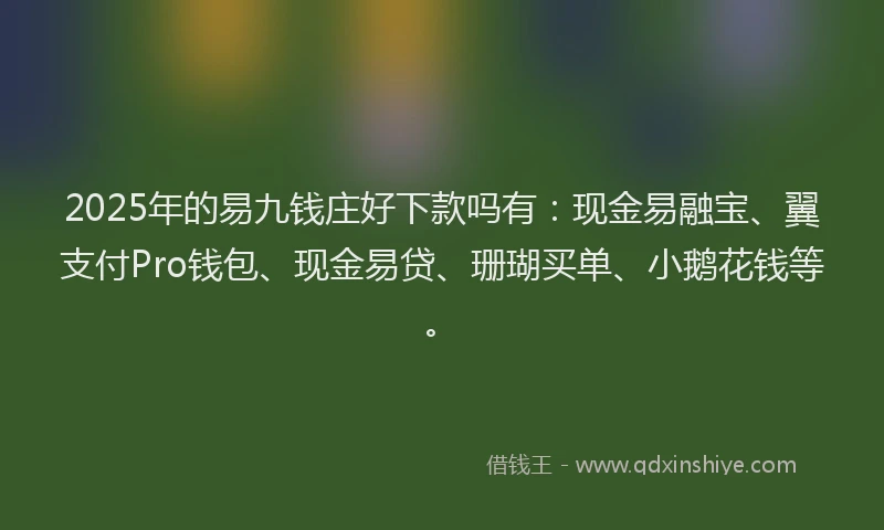 2025年的易九钱庄好下款吗有：现金易融宝、翼支付Pro钱包、现金易贷、珊瑚买单、小鹅花钱等。