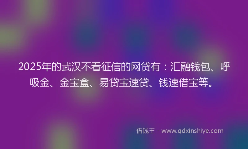 2025年的武汉不看征信的网贷有：汇融钱包、呼吸金、金宝盒、易贷宝速贷、钱速借宝等。
