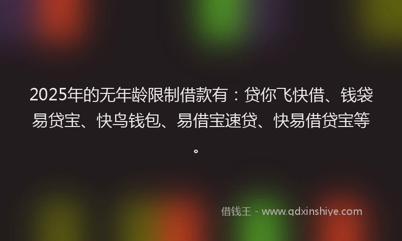 2025年的无年龄限制借款有：贷你飞快借、钱袋易贷宝、快鸟钱包、易借宝速贷、快易借贷宝等。