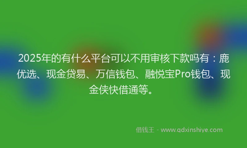 2025年的有什么平台可以不用审核下款吗有：鹿优选、现金贷易、万信钱包、融悦宝Pro钱包、现金侠快借通等。