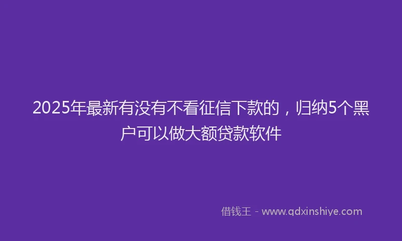 2025年最新有没有不看征信下款的，归纳5个黑户可以做大额贷款软件
