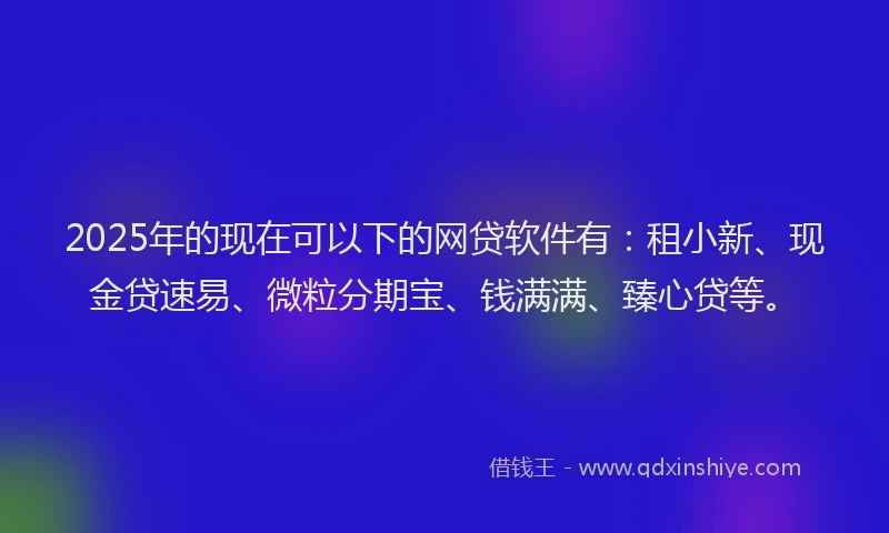2025年的现在可以下的网贷软件有：租小新、现金贷速易、微粒分期宝、钱满满、臻心贷等。