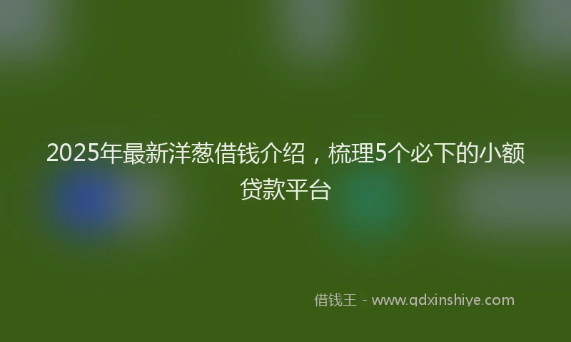 2025年最新洋葱借钱介绍，梳理5个必下的小额贷款平台