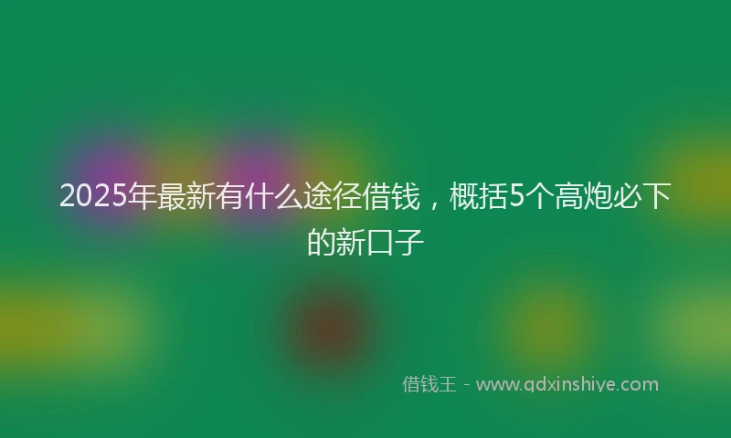 2025年最新有什么途径借钱，概括5个高炮必下的新口子