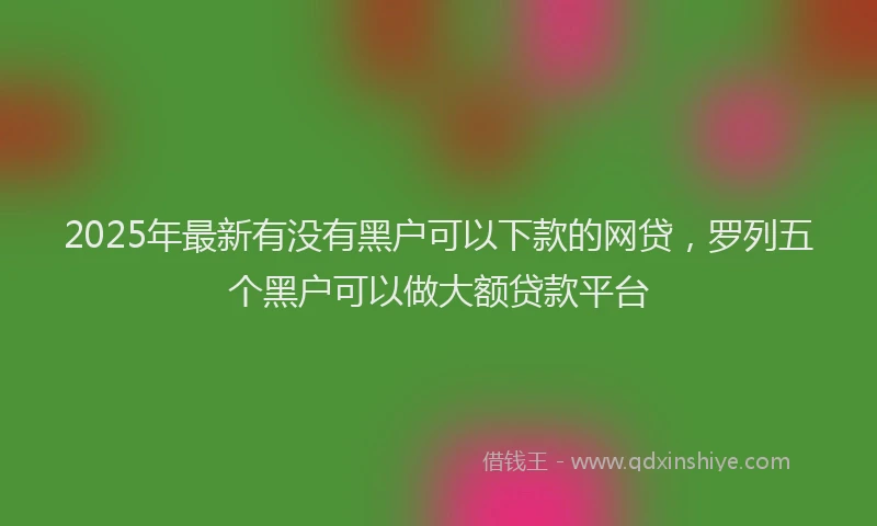 2025年最新有没有黑户可以下款的网贷，罗列五个黑户可以做大额贷款平台