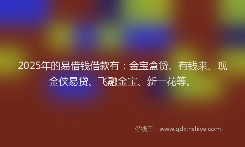 2025年的易借钱借款有：金宝盒贷、有钱来、现金侠易贷、飞融金宝、新一花等。