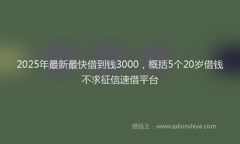 2025年最新最快借到钱3000，概括5个20岁借钱不求征信速借平台