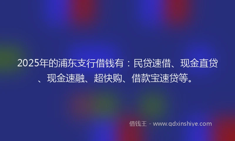 2025年的浦东支行借钱有：民贷速借、现金直贷、现金速融、超快购、借款宝速贷等。