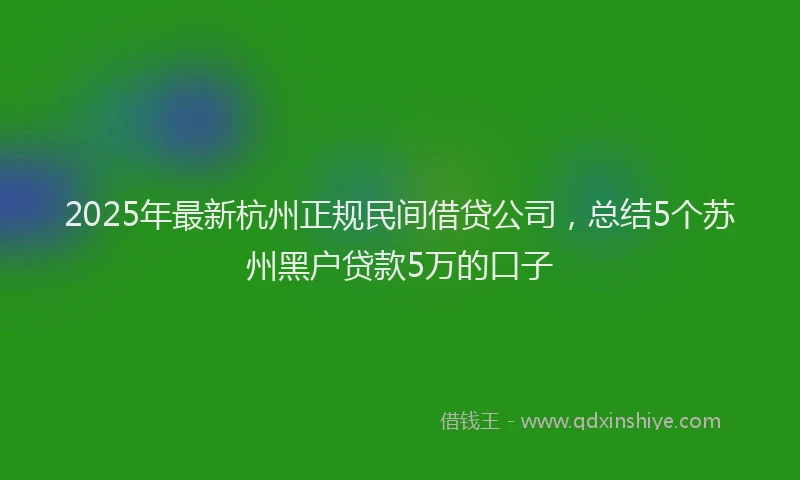 2025年最新杭州正规民间借贷公司，总结5个苏州黑户贷款5万的口子