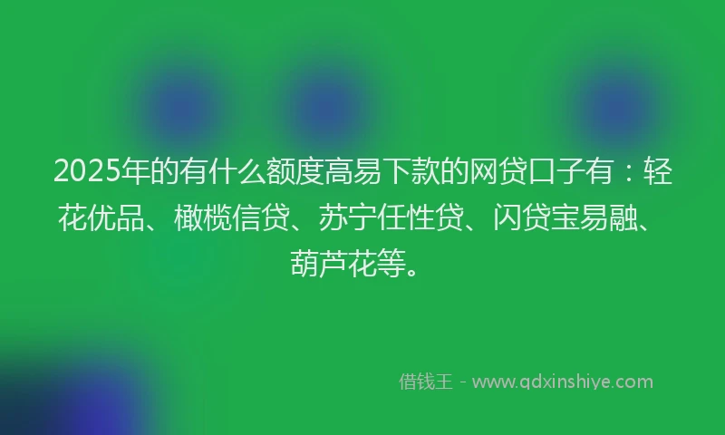 2025年的有什么额度高易下款的网贷口子有：轻花优品、橄榄信贷、苏宁任性贷、闪贷宝易融、葫芦花等。