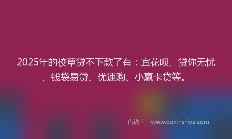 2025年的校草贷不下款了有：宜花呗、贷你无忧、钱袋易贷、优速购、小赢卡贷等。