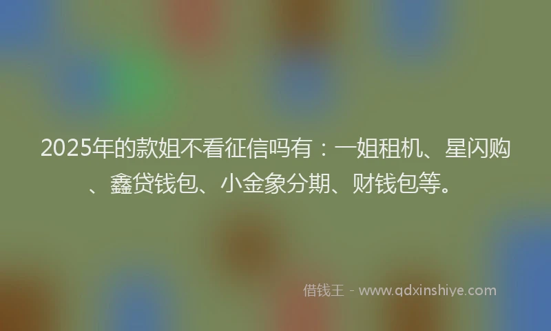 2025年的款姐不看征信吗有：一姐租机、星闪购、鑫贷钱包、小金象分期、财钱包等。
