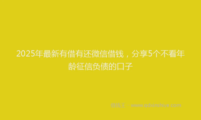 2025年最新有借有还微信借钱，分享5个不看年龄征信负债的口子