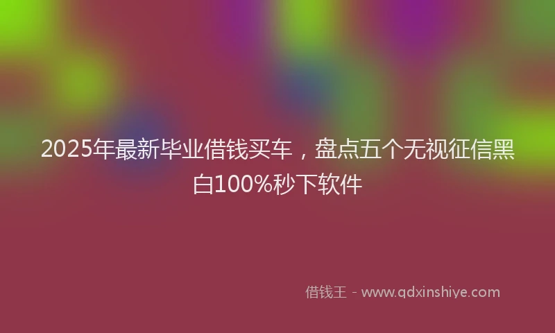 2025年最新毕业借钱买车，盘点五个无视征信黑白100%秒下软件