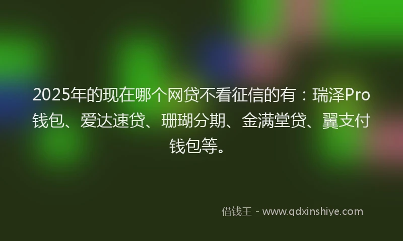 2025年的现在哪个网贷不看征信的有：瑞泽Pro钱包、爱达速贷、珊瑚分期、金满堂贷、翼支付钱包等。